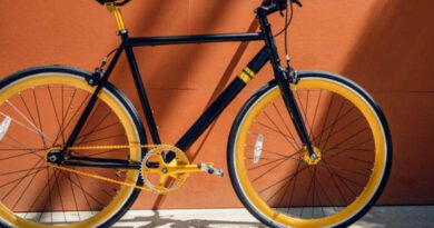 История велосипеда: от дрезины до электробайка